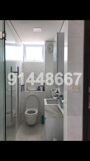 Park Residences Kovan (D19), Apartment #155067072